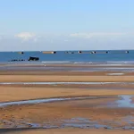 Panoramic Mulberry Plendid Sea Front アパート *