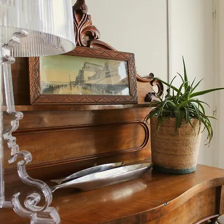 Panoramic Mulberry Plendid Sea Front アネル